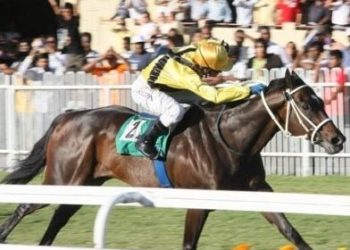 Cedric Segeon Biography