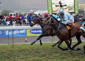 Major Jay – Cedric Segeon a 79/1 Longshot