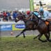 Major Jay – Cedric Segeon a 79/1 Longshot