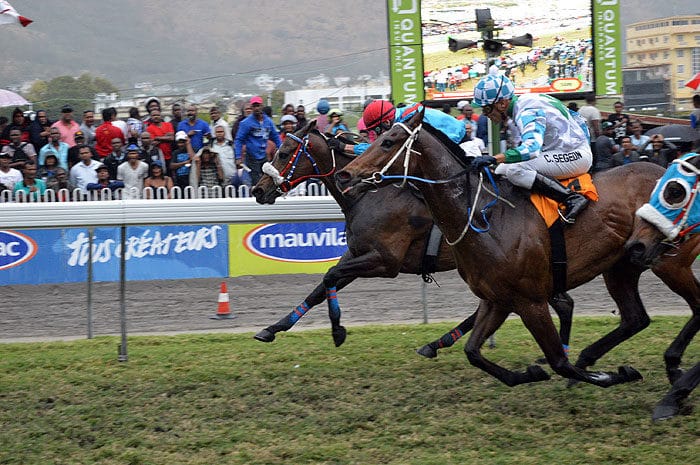 Major Jay – Cedric Segeon a 79/1 Longshot