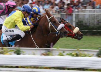 Cédric Ségeon au sommet de son art