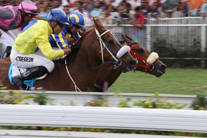 Cédric Ségeon au sommet de son art