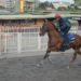Ernie ; le premier au galop