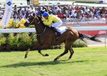 Cédric Ségeon: « Je suis aux anges »