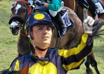 La saison 2024 débute ce samedi pour Cédric Segeon et l’écurie Ruhee