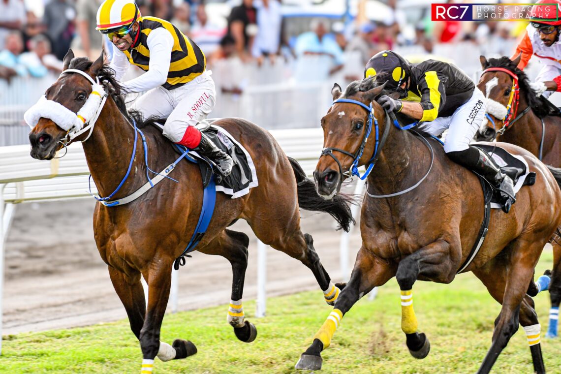 Le Triomphe de la Résilience : La Victoire de Cedric Segeon avec Free to Win