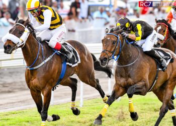 Le Triomphe de la Résilience : La Victoire de Cedric Segeon avec Free to Win