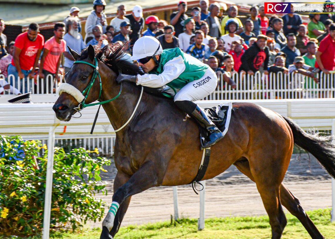 Cedric Segeon Triomphe avec Captain Cola et United Prince: Un Double Succès a l’ecurie Vicky Ruhee