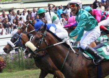 Cédric Ségeon et ses fans profondément attristés par les chutes de plusieurs jockeys ce samedi