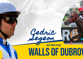 Cedric Segeon – Walls of Dubrovnik prêts à relever de nouveaux défis