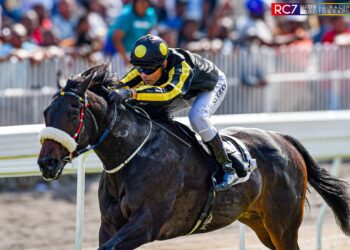 Un Week-end de Course Exceptionnel pour Cédric Ségeon : Trois Victoires sur Cinq Montures